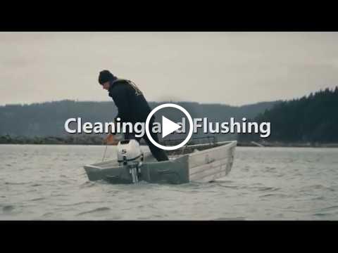 Cleaning and Flushing