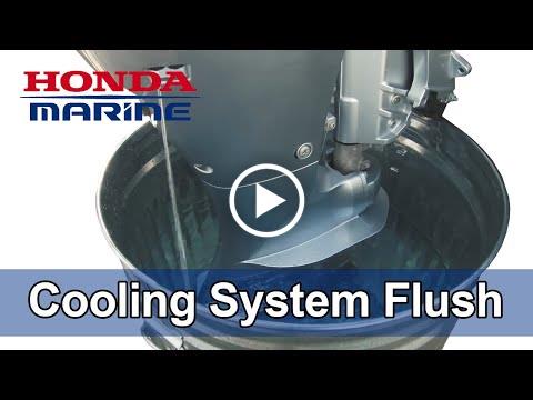 Cooling System Flush Procedure